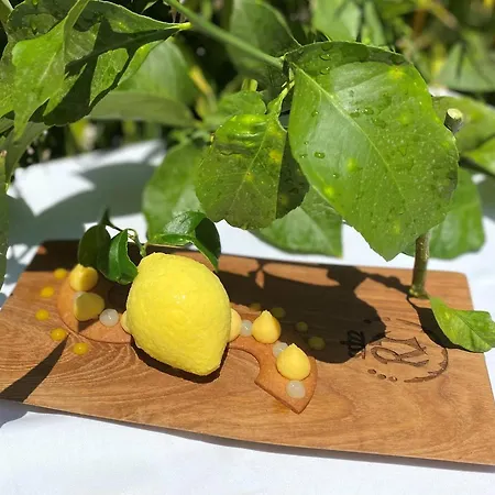 Отель Le Roi Theodore &