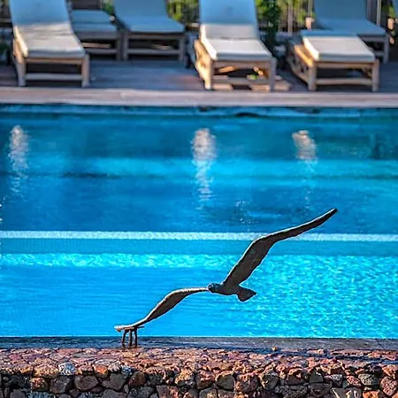 Hotel Le Roi Theodore &