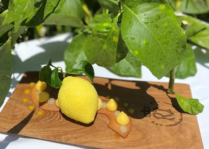 Hotel Le Roi Theodore &