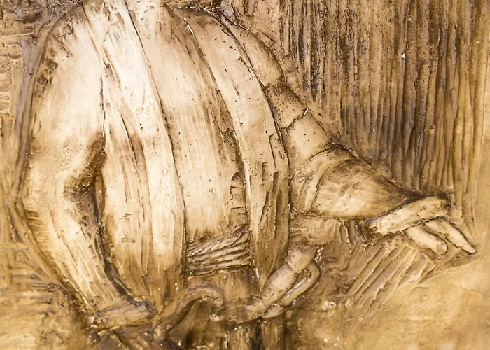 Hotel Le Roi Theodore & 4*